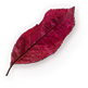 img21.png img21