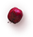 img61.png img61